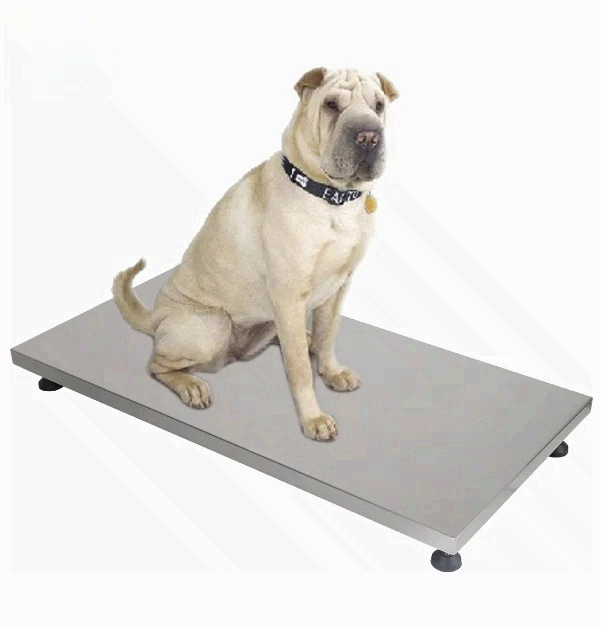 on Sale Fishing Scale Pet Scal - Fishing Equipment For Sale 评论和价格